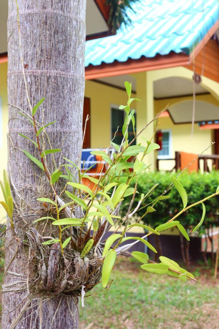 Baanrimklong Bungalow Koh Chang Eksteriør billede